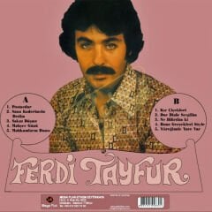 Ferdi Tayfur - Postacılar Plak