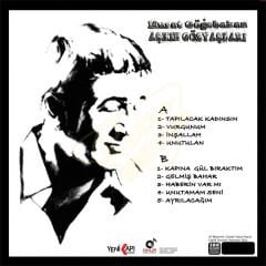 Murat Göğebakan - Aşkın Gözyaşları Plak