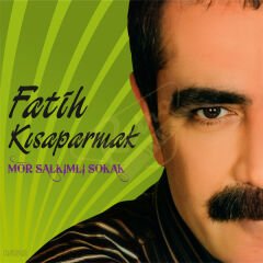 Fatih Kısaparmak - Mor Salkımlı Sokak Plak