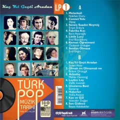 Türk Pop Müzik Tarihi Kaç Yıl Geçti Aradan Vol.1 - Çeşitli Sanatçılar Plak