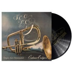 Özdemir Erdoğan  - Özgün Jazz Denemeleri Plak