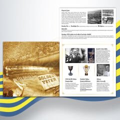 Fenerbahçe - Efsane Yıldızlar Özel Seri Numaralı Renkli Plak