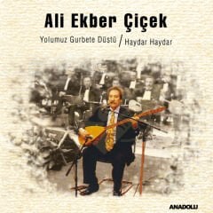 Ali Ekber Çiçek - Yolumuz Gurbete Düştü / Haydar Haydar Plak