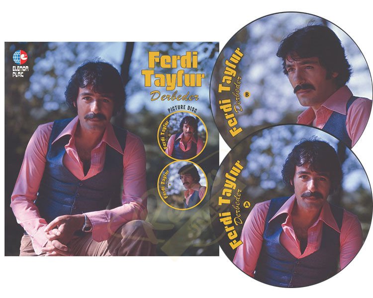 Ferdi Tayfur - Derbeder Picture Disc Plak