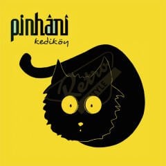Pinhani  - Kediköy Plak